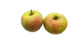 りんご（名月）