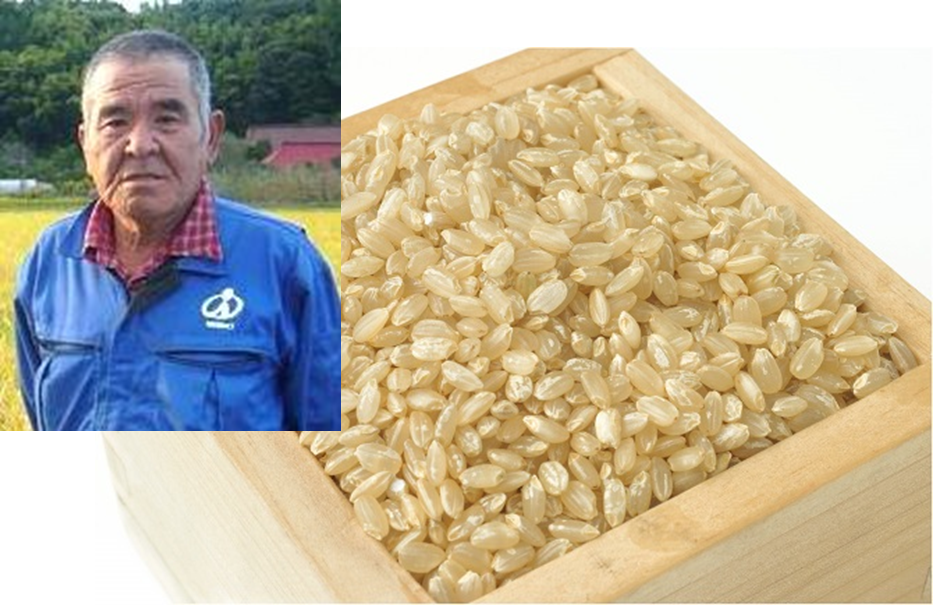 自然農法コシヒカリ・玄米（農薬無使用） | 株式会社陽光フーズ